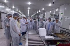 生鮮電商冷庫(kù)維修保養(yǎng)-我廚上海科