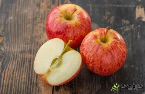 蘋果冷庫儲(chǔ)藏特點(diǎn)，保鮮冷庫造價(jià)及影響因素(圖1)