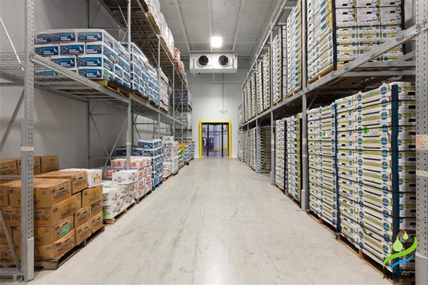 建一個冷庫到底要花多少錢？