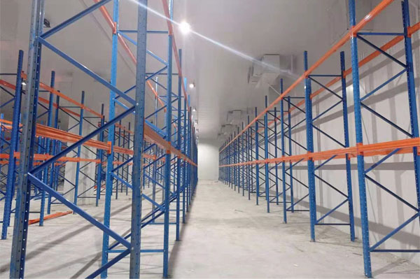 建造一個櫻桃保鮮冷庫多少錢？(圖2)