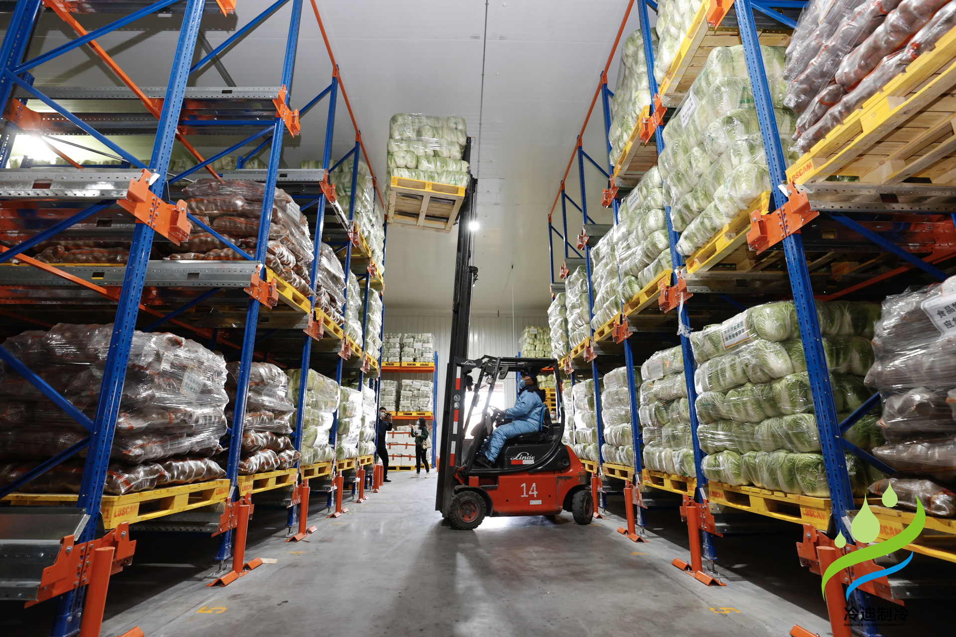 建造一個(gè)預(yù)冷冷庫(kù)需要多少錢(qián)？(圖2)