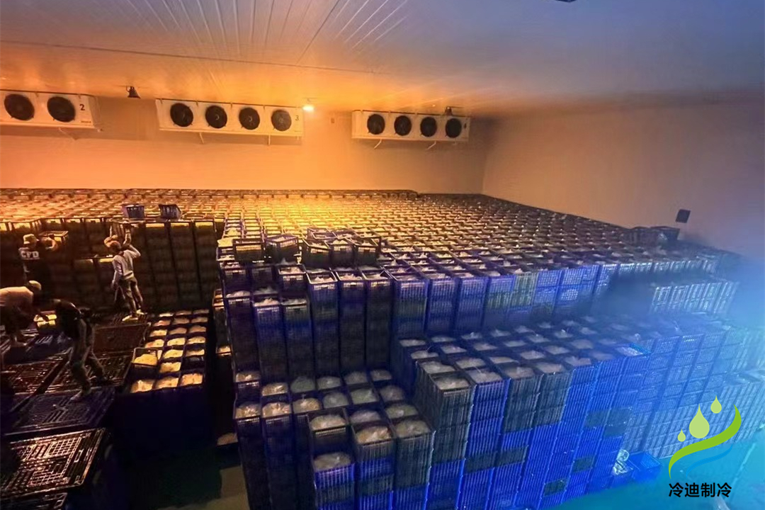 建設(shè)大型冷庫造價多少錢一平方米？